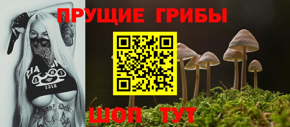 Галлюциногенные грибы Psilocybe Фролово